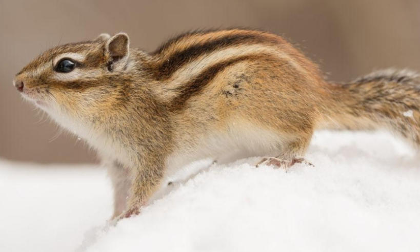 上海泽宇智能科技有限公司轮播图2